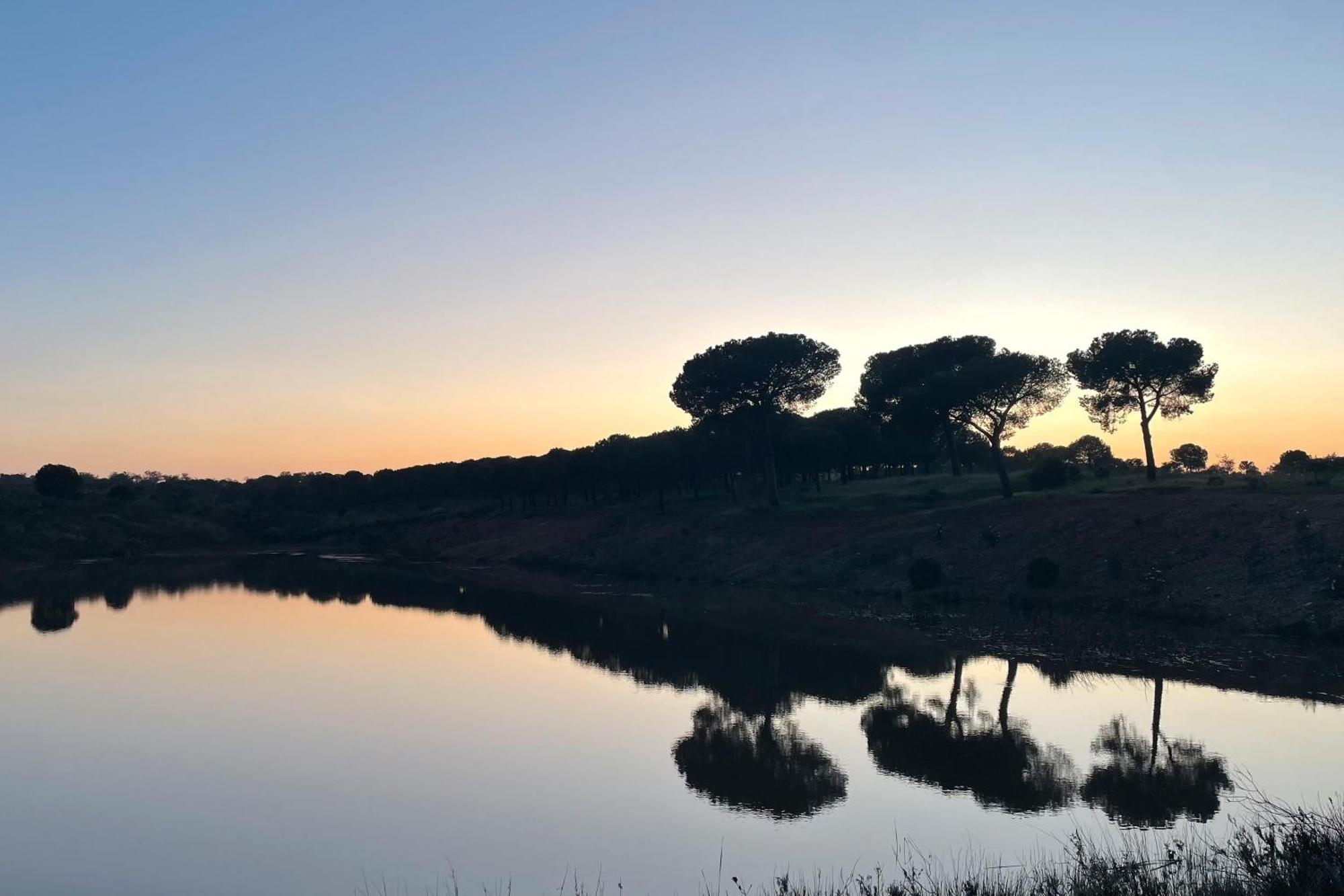 Vila Sesmarias Dos Nobres Azinheira dos Barros Exteriér fotografie